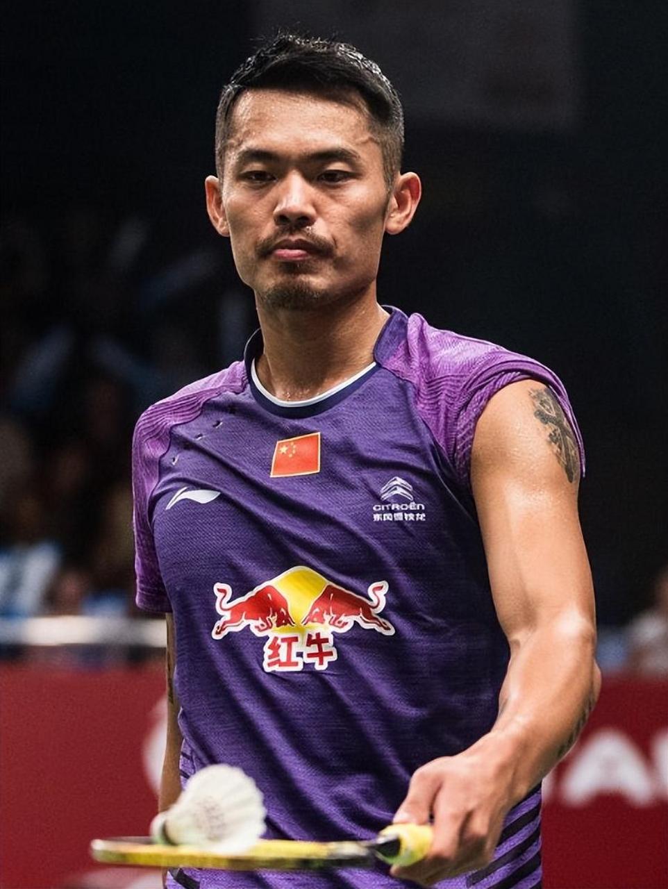 日本羽毛球队绝杀韩国羽毛球队，陶菲克统治全场的简单介绍