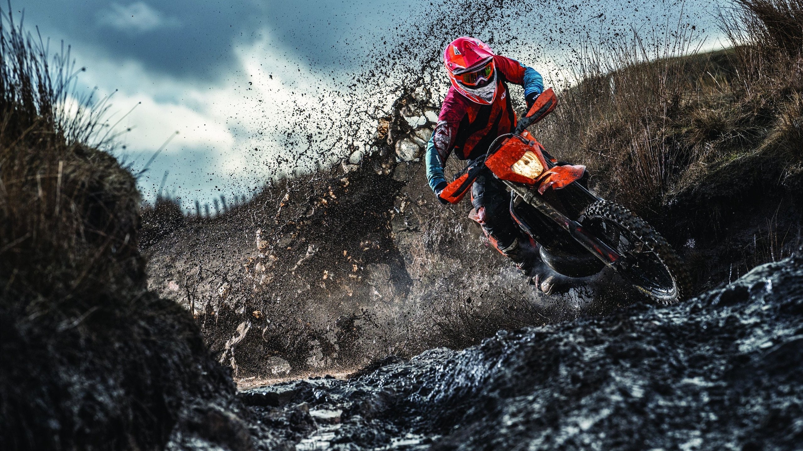 联合杯轻取温网，穆雷统治全场，定义网坛新秩序